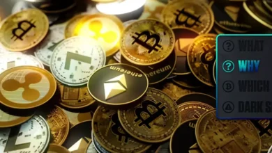 Cryptocurrency Explained: From Fiat to NFTs, Your Ultimate Guide to Digital Assets