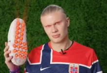 Top 10 World Cup Products Tested: Which Reigns Supreme?